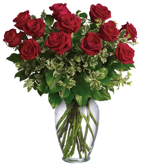 12 Extra Long Stemmed Red Roses bloomexusa