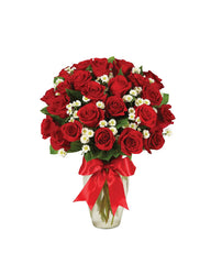 2 DOZEN ROSES - RED bloomexusa