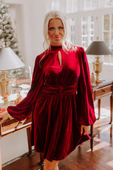 Holiday Social Velvet Mini Dress in Wine