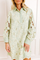 Chardonnay Toast Floral Embroidered Mini Dress