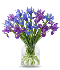 Blue Iris Bouquet - Bloomex Usa