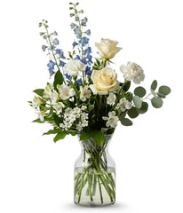 Blue & White Brilliance bloomexusa