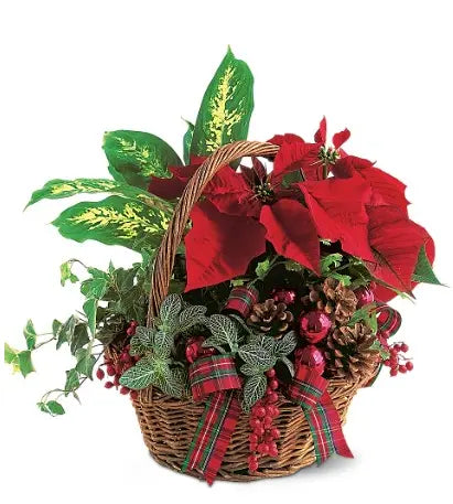 Christmas Planter Basket bloomexusa
