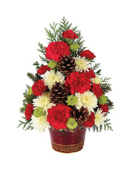 Christmas Tree Celebration bloomexusa