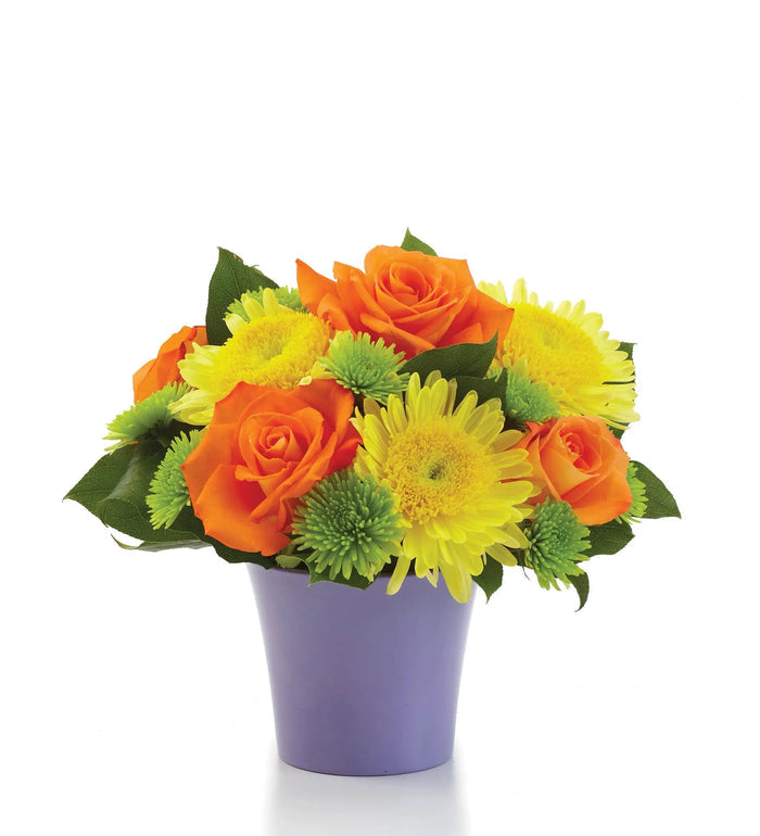 Citrus Surprise bloomexusa