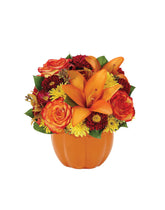 Harvest Pumpkin bloomexusa