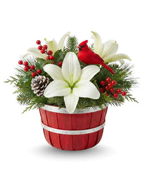 Holiday Cardinal Garden Surprise bloomexusa