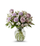 Lavender & White Brilliance bloomexusa