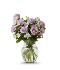 Lavender & White Brilliance bloomexusa