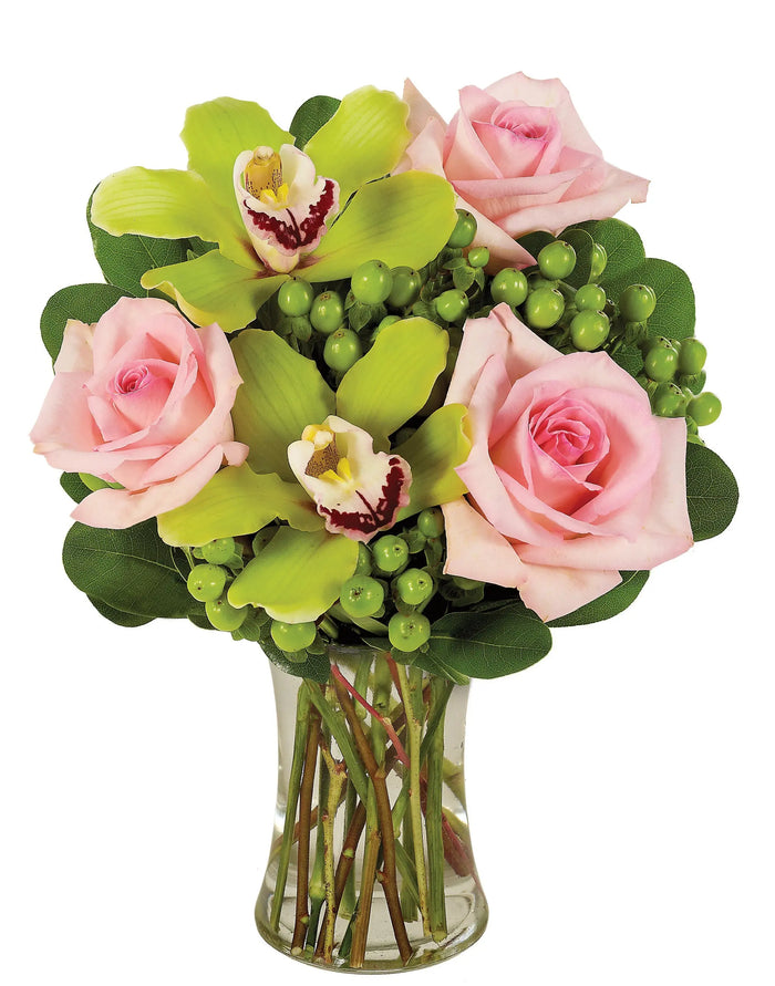 Mint Julep Surprise bloomexusa