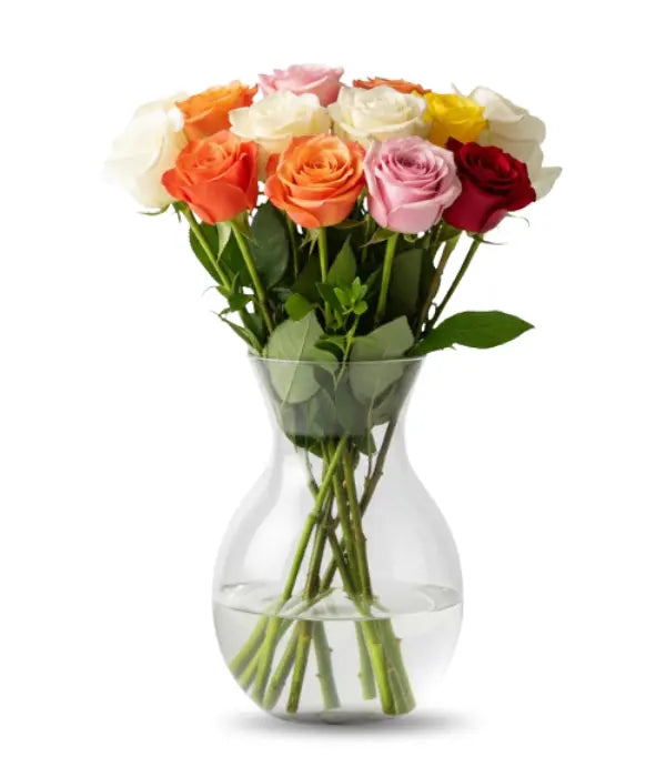 One Dozen Assorted Long Stem Roses - Bloomex Usa