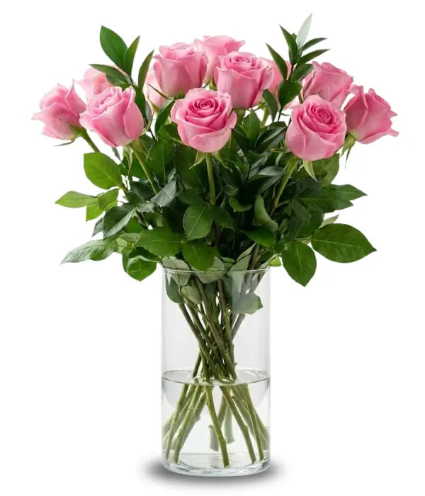 One Dozen Long Stemmed Pink Roses - Bloomex Usa