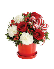 Peppermint Holiday Surprise bloomexusa