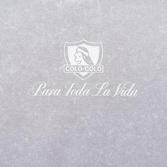Polera Colo-Colo Urbano Gris Escudo Gris