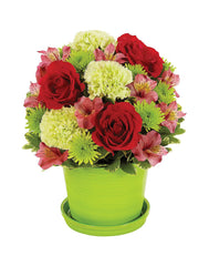 Sorbet Blooms bloomexusa