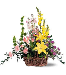 Springtime Basket bloomexusa