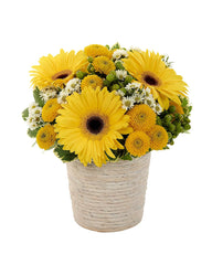 Sunny Day Dream Bouquet bloomexusa