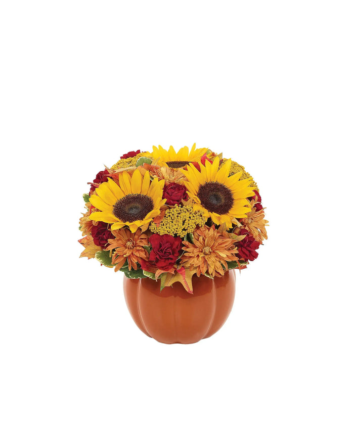 Thanksgiving Pumpkin Celebration bloomexusa