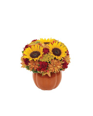 Thanksgiving Pumpkin Celebration bloomexusa