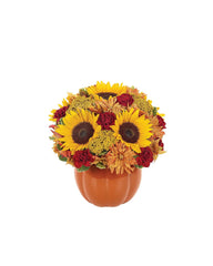 Thanksgiving Pumpkin Celebration bloomexusa