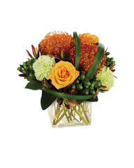 TROPICAL SOPHISTICATION bloomexusa
