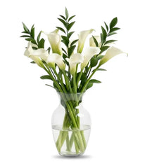 10 Stunning Calla Lilies - Bloomex Usa