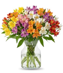 100 Blooms of Peruvian Lilies bloomexusa