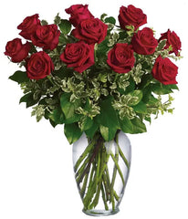 12 Extra Long Stemmed Red Roses bloomexusa