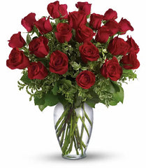 24 Christmas Roses bloomexusa