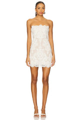 X Revolve Amanda Mini Dress