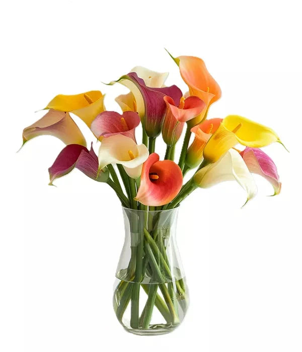 Assorted Calla Lilies bloomexusa