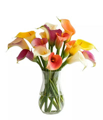 Assorted Calla Lilies bloomexusa