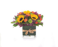 Birthday Brilliance bloomexusa