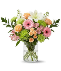Birthday Designer Collection III bloomexusa