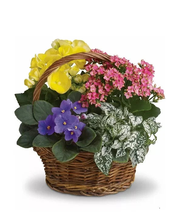 Blooming Planter Basket bloomexusa