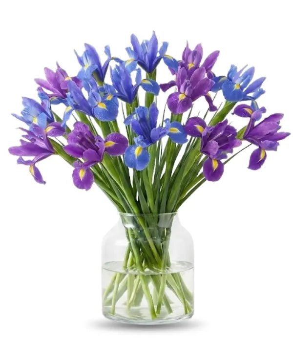 Blue Iris Bouquet - Bloomex Usa