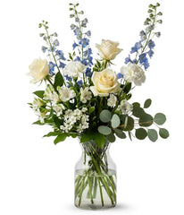 Blue & White Brilliance bloomexusa