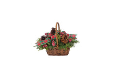 Bright Evergreen Basket bloomexusa