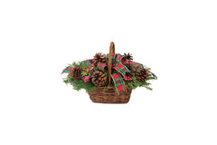Bright Evergreen Basket bloomexusa