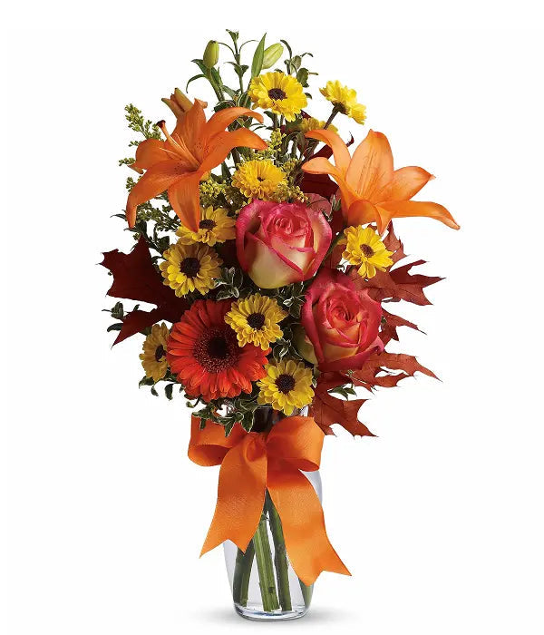 Burst of Autumn bloomexusa