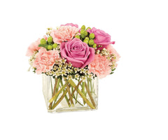 Butterfly Garden Watering Can bloomexusa