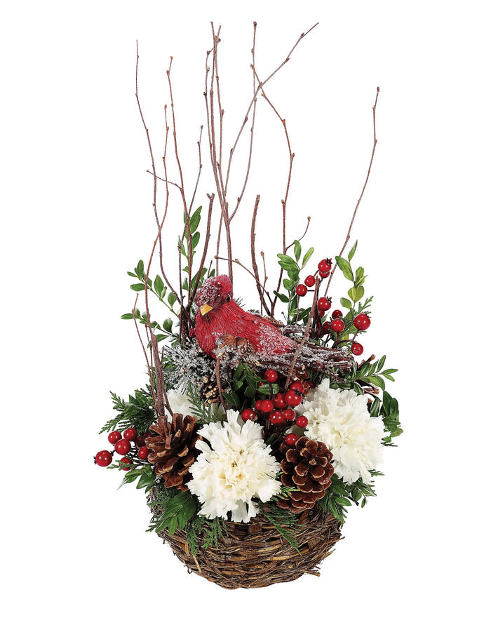 Cardinal Bird's Nest bloomexusa