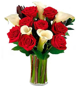 Christmas Magic bloomexusa