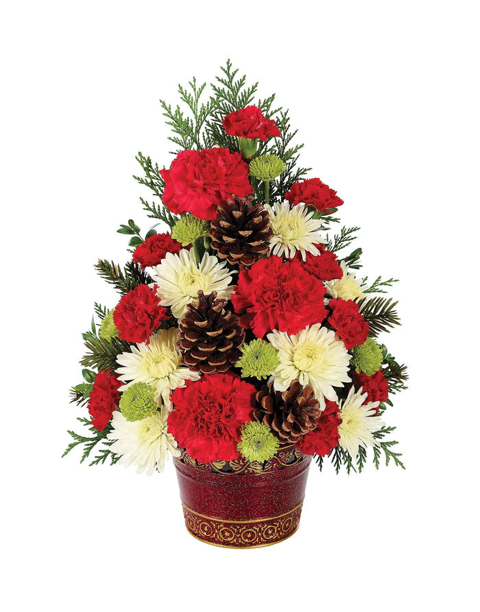 Christmas Tree Celebration bloomexusa