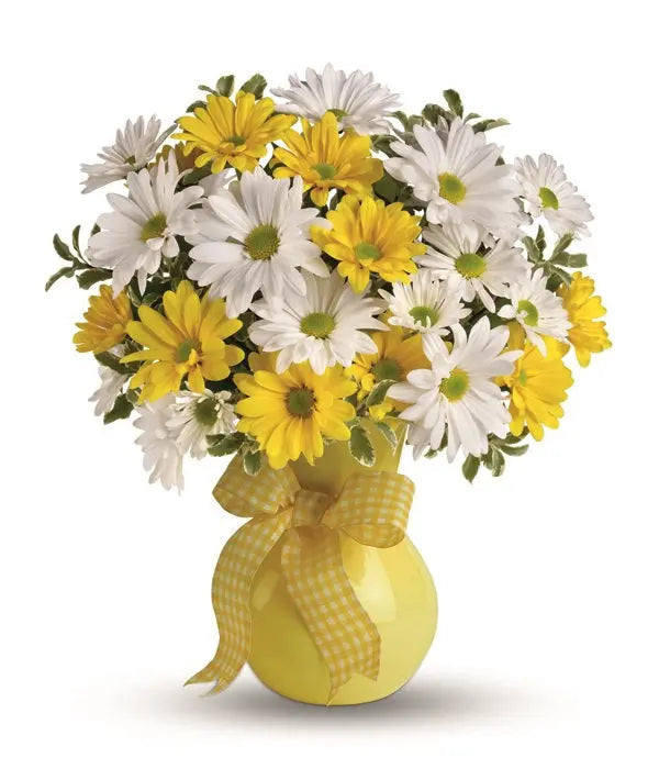 Classic Yellow & White Daisies bloomexusa