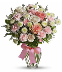 Cotton Candy bloomexusa