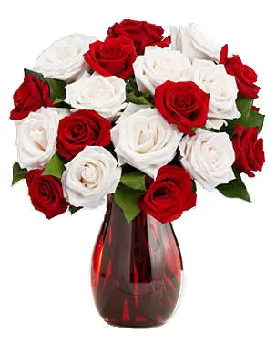 Cupids Arrow bloomexusa
