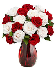 Cupids Arrow bloomexusa