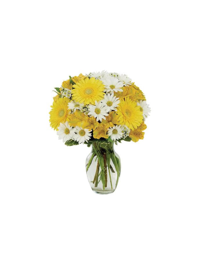 DAISY A DAY BOUQUET bloomexusa