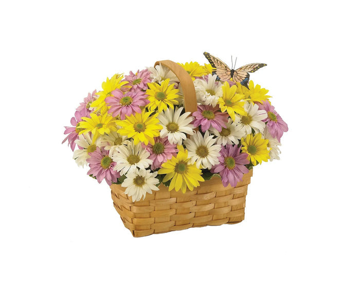 Daisy A Day Easter Basket bloomexusa